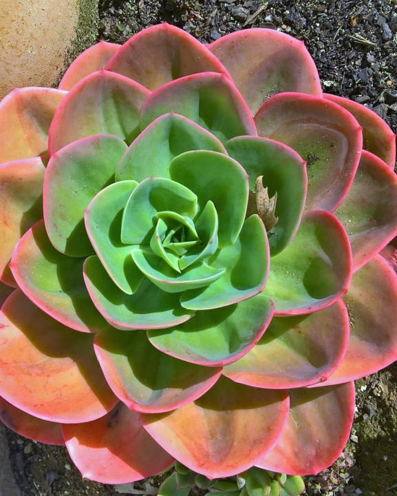 WP_20191205_11_44_26_Pro (2).jpg WP_20191205_11_44_26_Pro (2).jpg