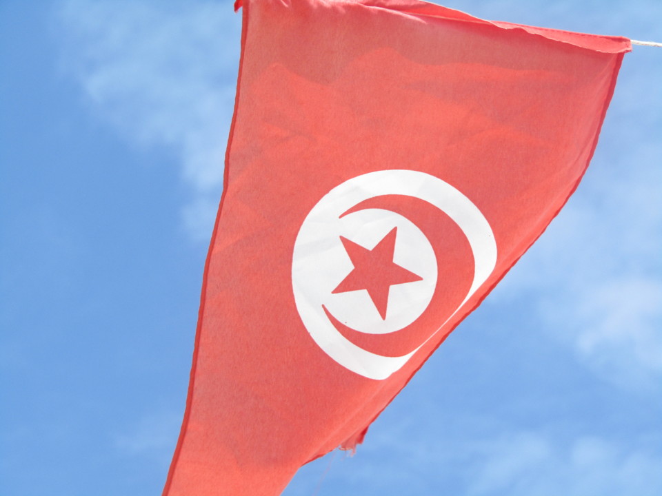 IMG_0910.JPG IMG_0910.JPG