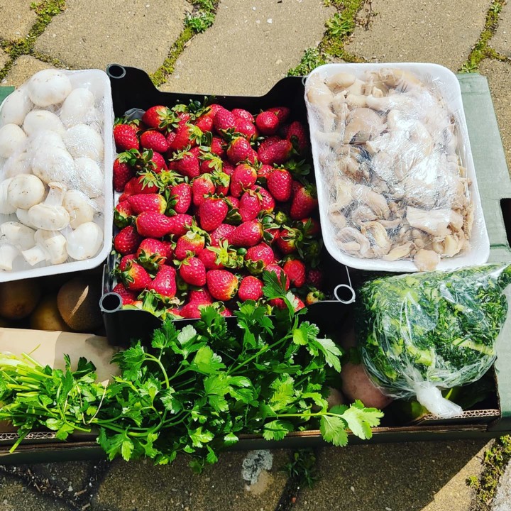 157164305_1967403976732687_2545875654066035830_o.j