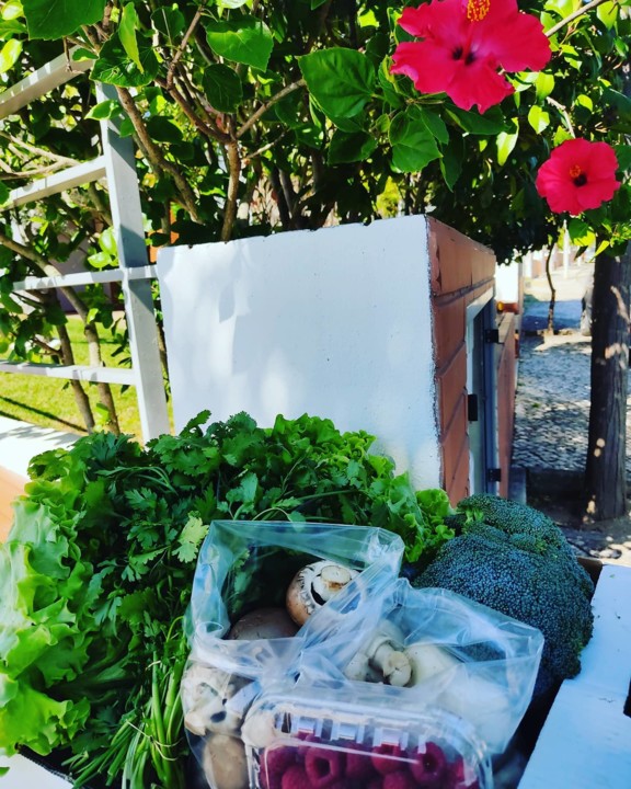 120962254_1837646313041788_1923036528073702205_o.j