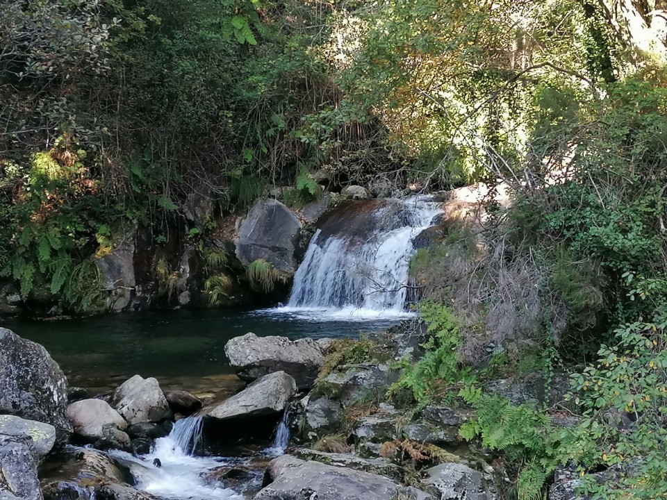 IMG_20201010_151824.jpg IMG_20201010_151824.jpg