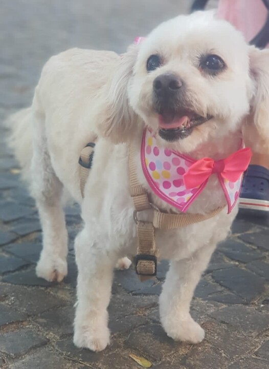 IMG-20220809-WA0002 (2).jpg