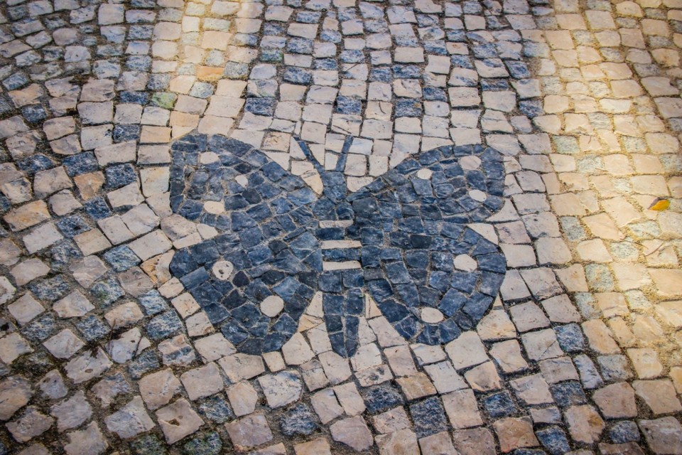 jardim cesario verde 1.jpg