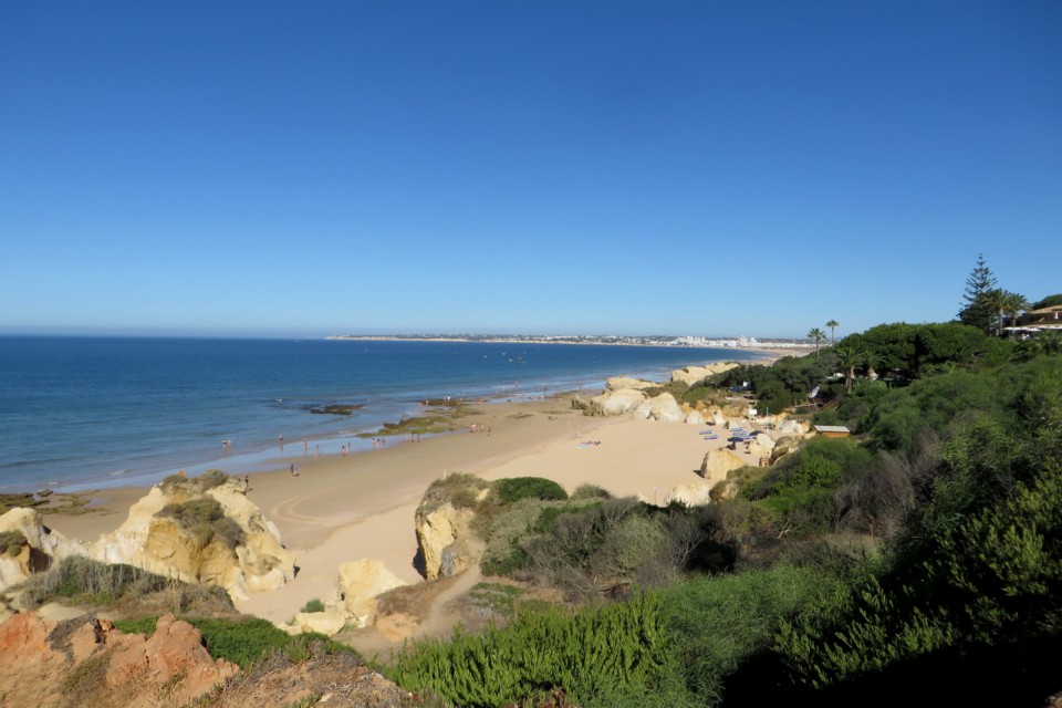 IMG_3774.JPG IMG_3774.JPG