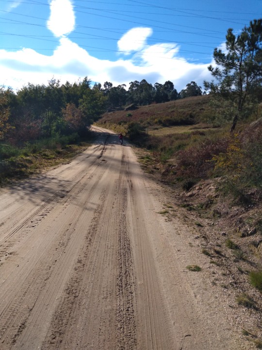 IMG_20210110_122238_BEAUTY.jpg IMG_20210110_122238_BEAUTY.jpg