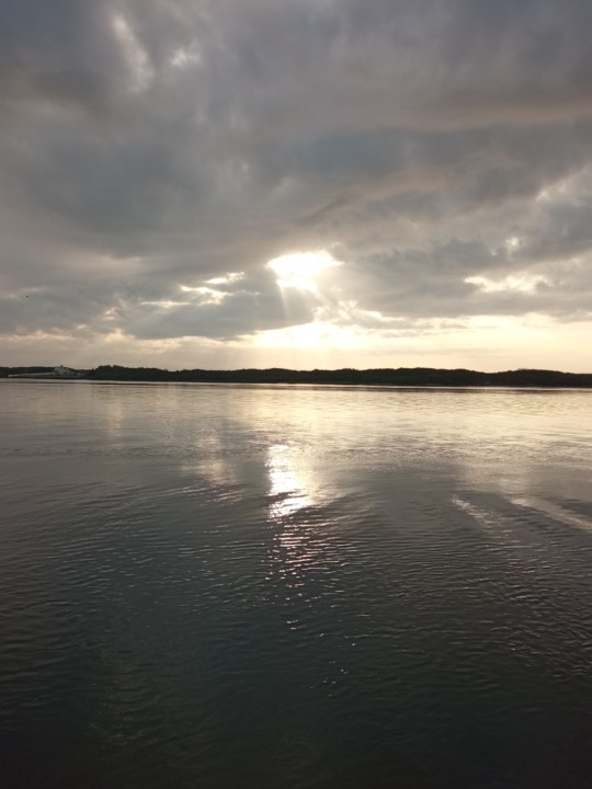 IMG_20201113_160844 (2).jpg