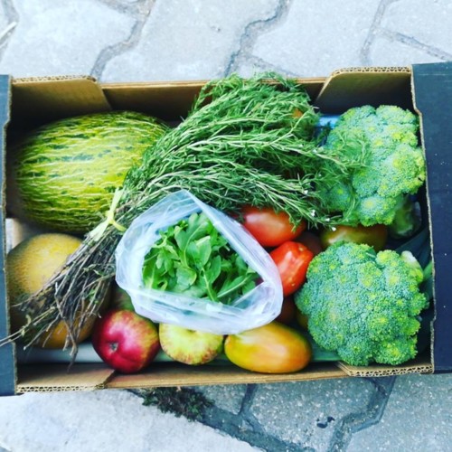 37314570_1151164481689978_3976683229791911936_n.jp