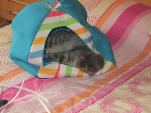 IMG_6064.JPG IMG_6064.JPG