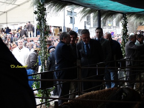 Feira do Queijo Em Seia !!! 275.jpg
