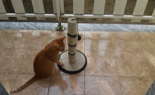 premio.jpg premio.jpg