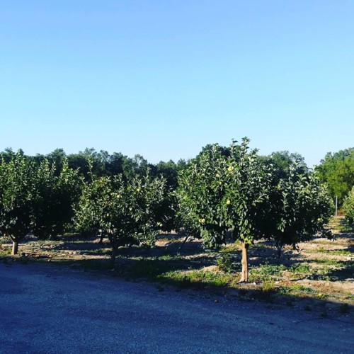 37308826_1146170072189419_5180676727386406912_n.jp