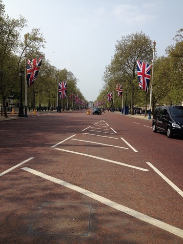 IMG_1295.JPG IMG_1295.JPG