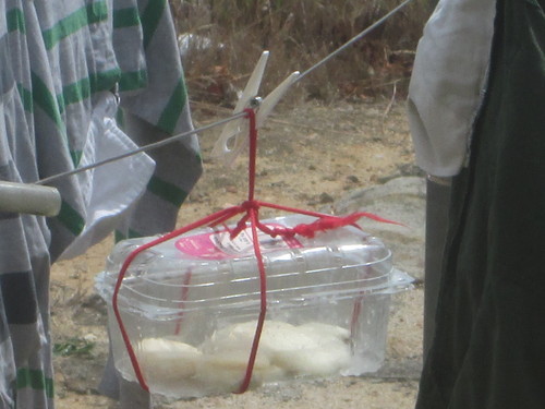 blog 002.jpg blog 002.jpg