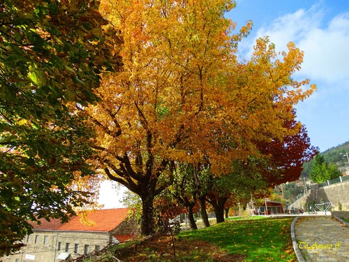 Fotos de Outono !!! 021.jpg