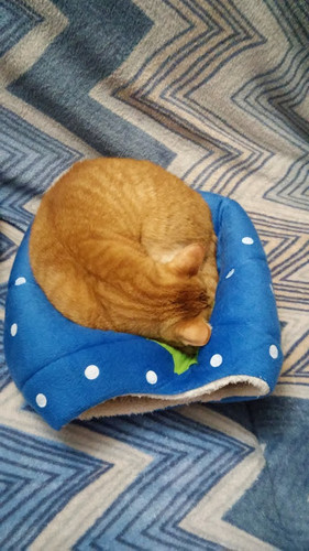 eraumavez.jpg eraumavez.jpg