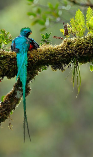 Screen Shot 2016-09-23 at 17.41.11.png