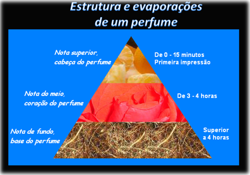 Estrutura de um perfume.png