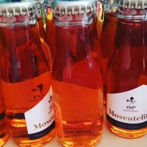 25591973_1012973955509032_8366615198592298814_n.jp