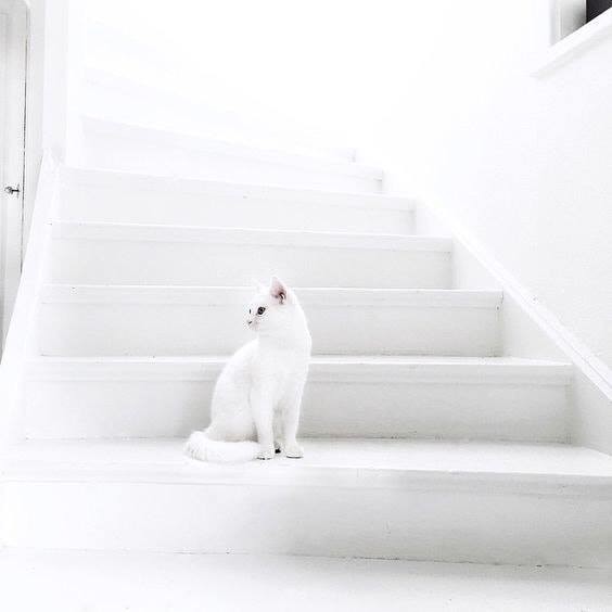 49811667_1939845862777943_8951442642139348992_n.jp 49811667_1939845862777943_8951442642139348992_n.jp