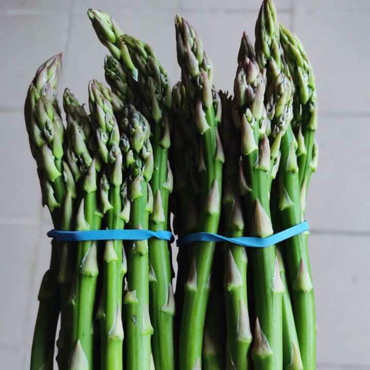 431963550_793971992760213_4537828300599044992_n.jp