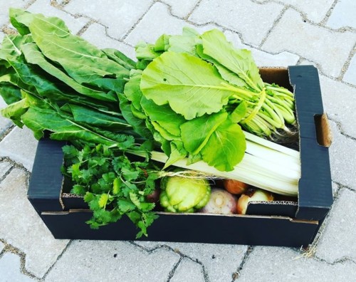 42864350_1217997121673380_5513115691542118400_n.jp 42864350_1217997121673380_5513115691542118400_n.jp