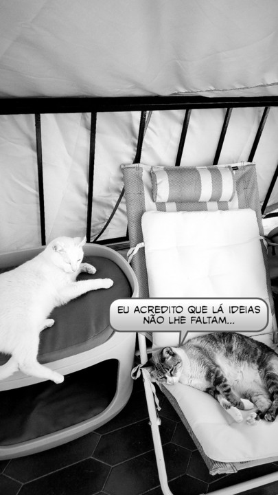 2021-08-18 04-picsay.jpg