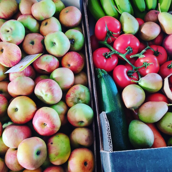 362291033_661839075973506_9004666506336547843_n.jp