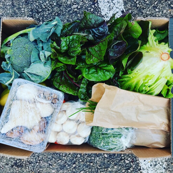 474205225_1005379291619481_6724321772105531192_n.j