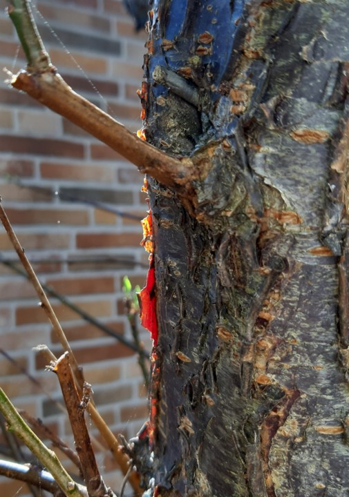 20200219_135012.jpg 20200219_135012.jpg