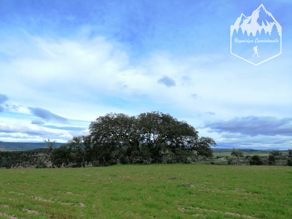 Photo_1584188491989.jpg Photo_1584188491989.jpg