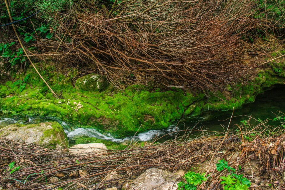 cascata do boição 15.jpg