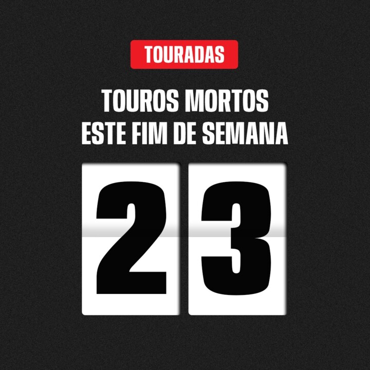 TOUROS MORTOS.jpg