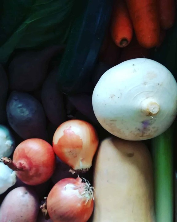 82562873_1590395127766909_2515864921418235904_o.jp 82562873_1590395127766909_2515864921418235904_o.jp