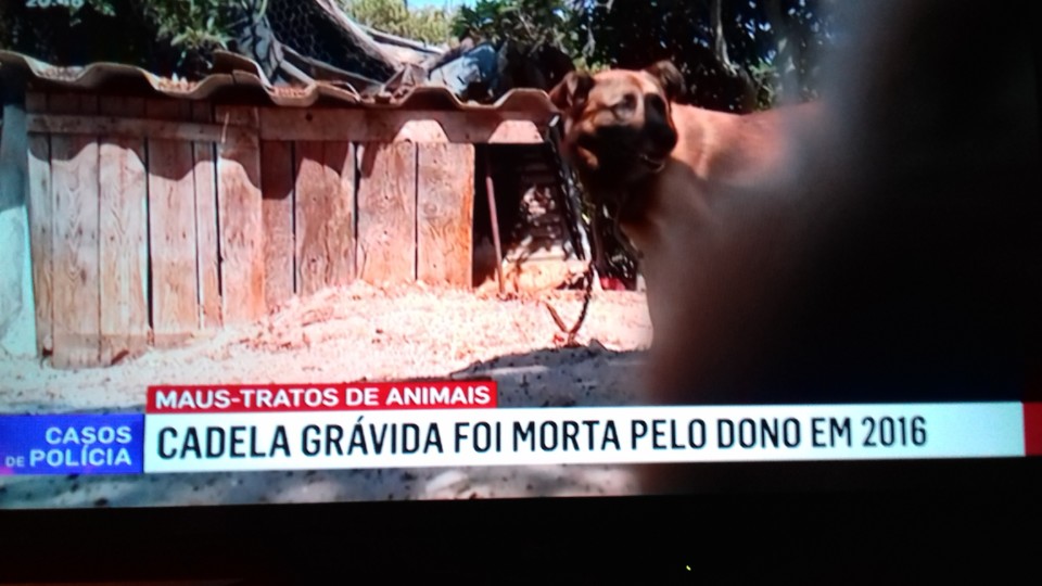 20190911_210053.jpg 20190911_210053.jpg