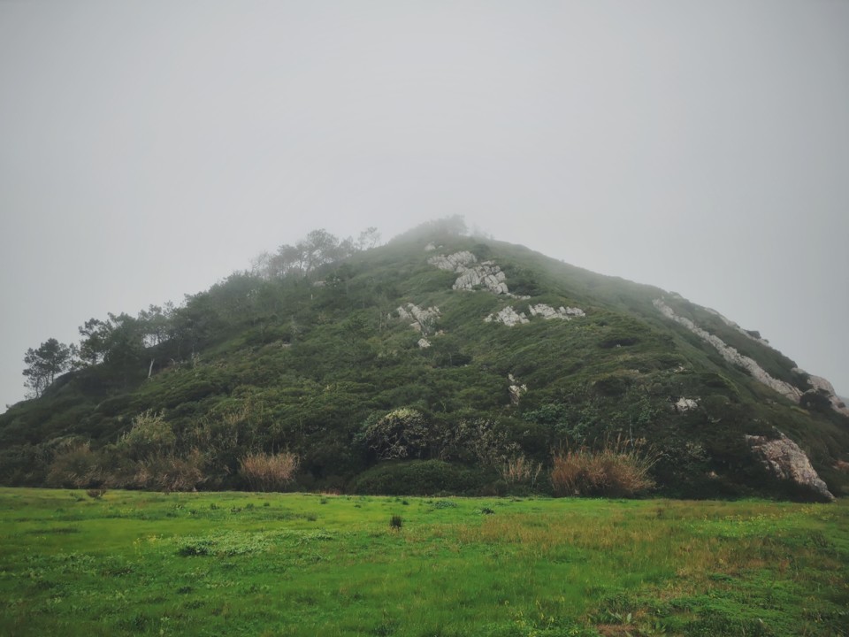 IMG_20220102_161613.jpg (1)