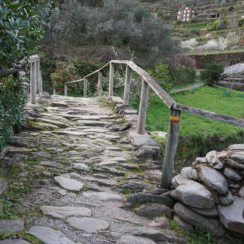 DSC03081.JPG DSC03081.JPG