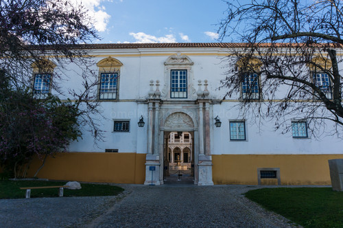 DSC00687.jpg DSC00687.jpg