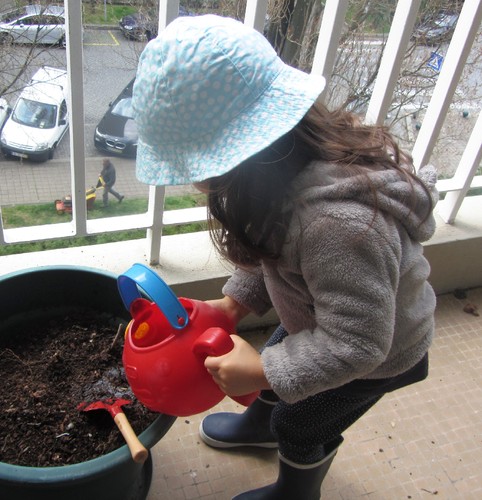 IMG_2522.JPG IMG_2522.JPG