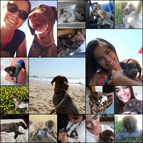 molly_montagem.jpg molly_montagem.jpg