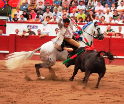 E Vitor Ribeiro bem tentou...