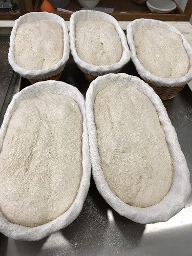 IMG_1677.JPG IMG_1677.JPG