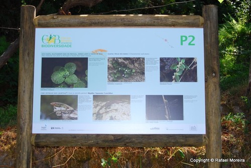 P2