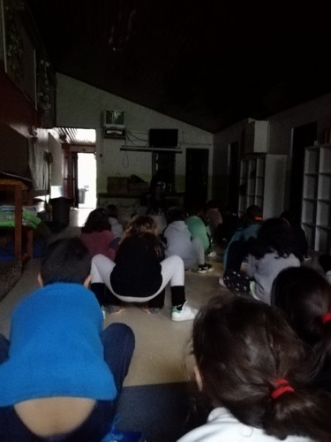 IMG_20180323_153613.jpg IMG_20180323_153613.jpg