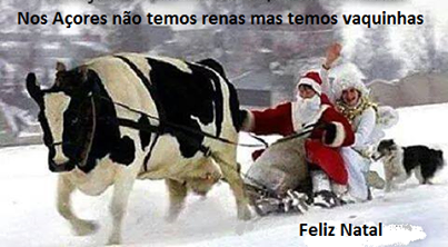 vacas_acores_natal.png
