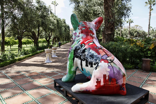 _MG_1448-1.jpg _MG_1448-1.jpg