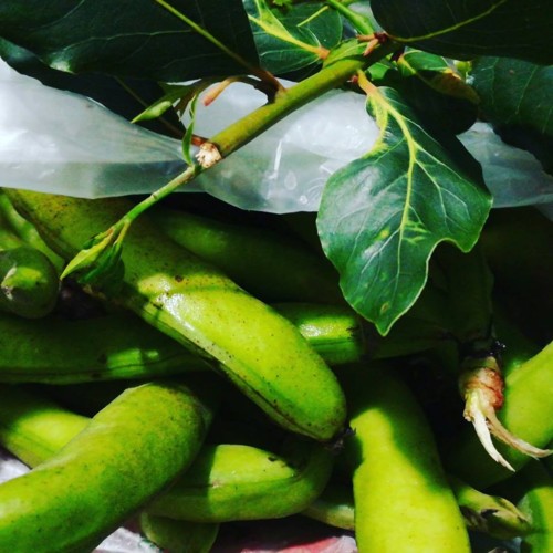 30744028_1083507115122382_5084520769095758206_n.jp