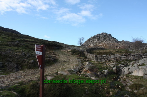 Biodiversidade_Freita_20.JPG Biodiversidade_Freita_20.JPG