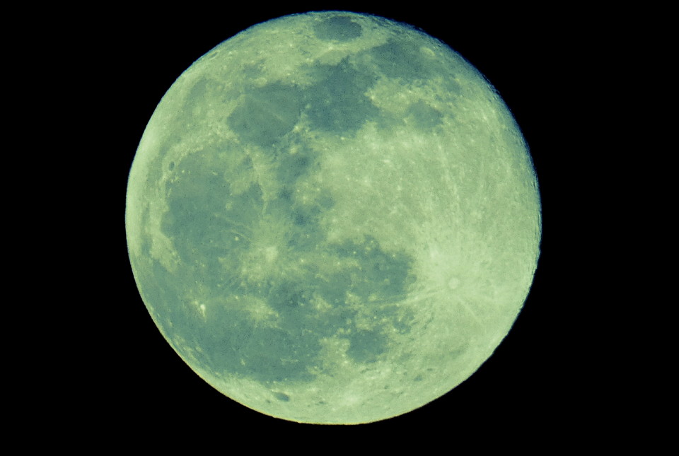 P1100752.JPG P1100752.JPG