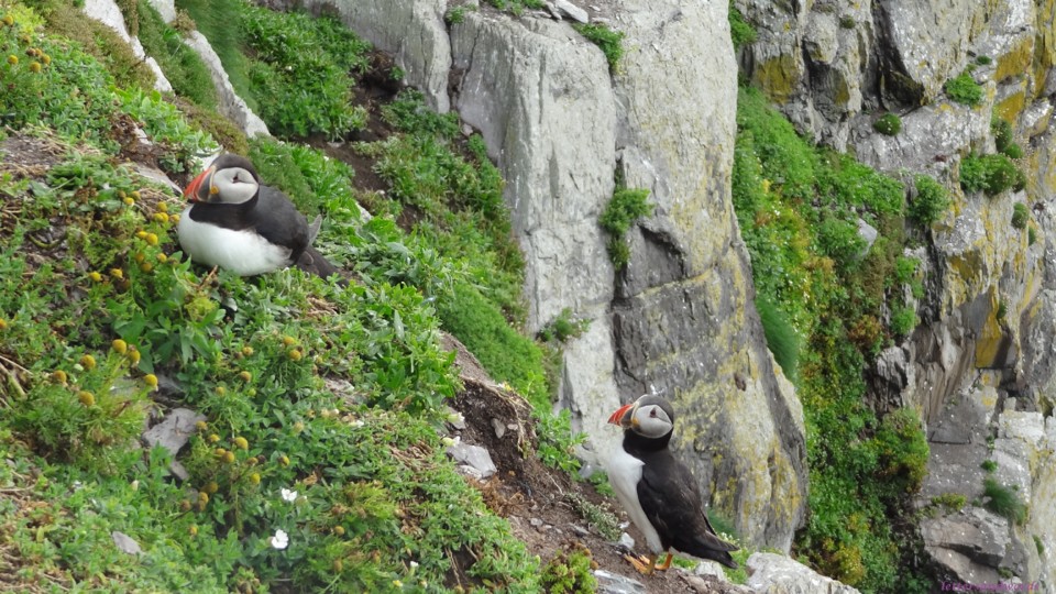 DSC06962.JPG DSC06962.JPG