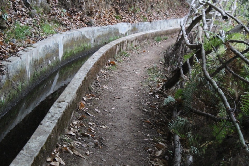 20190929171553_IMG_0614_resized_20191018_092813916